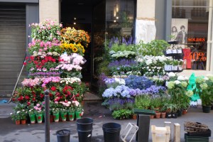 Flower shop in Paris 