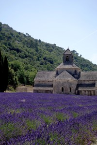 The Abbeye Senanque