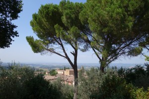Towers and countryside at San Gimignano 