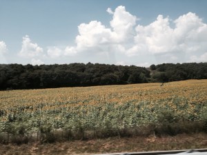 On the bus through the Italian countryside 